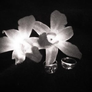 Meet your Posher, Paige